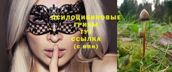 Альфа ПВП Майский